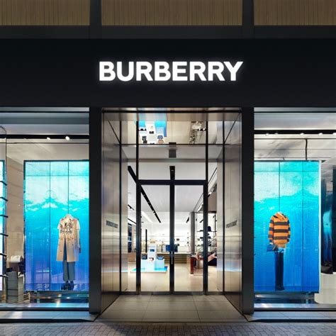 bearberry clothes|burberry store online.